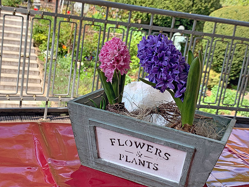 Apartment Garden
