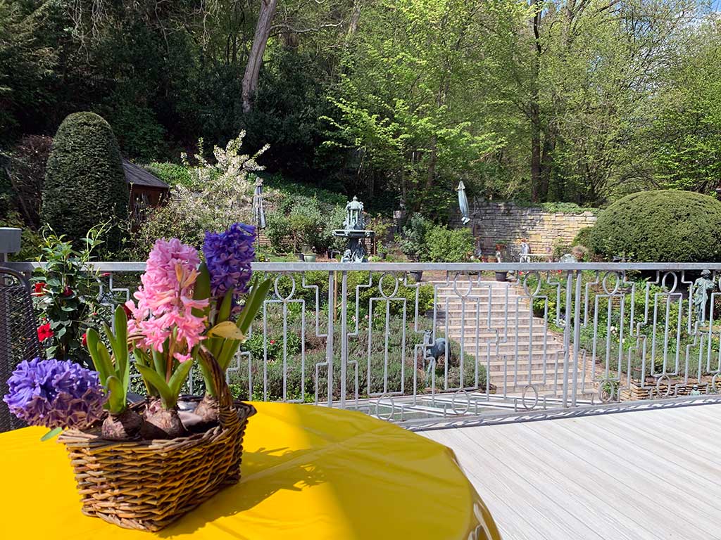 Blick in den Garten