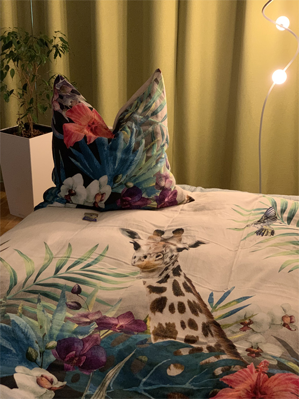 Apartment Geromé